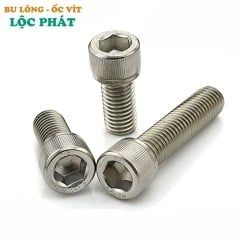 BU LÔNG INOX 304 M30
