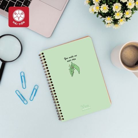 Sổ lò xo bìa nhựa cao cấp VIVA khổ A6 Hải Tiến 200 trang 6713 (KT: 100x150mm) - Kẻ ngang