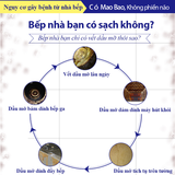  Combo 6 Chai Nước Tẩy Đa Năng Mao Bao 600ml, Làm Sạch Vết Dầu Mỡ Nhà Bếp, Kính, Gạch Men 