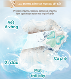  Combo 2 Túi (25 Viên x 10g) Giặt Xả Mao Bao Chống Nấm Mốc Hương Mẫu Đơn và Hổ Phách, Sạch Sâu Lưu Hương 