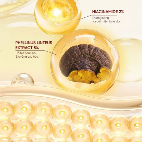 Tenamyd Luxury SangHwang White Perfect Serum – Serum Nấm Thượng Hoàng Dưỡng Sáng Da Cao Cấp Hàn Quốc