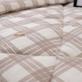 Cotton MỊN - BASIC CMB03 