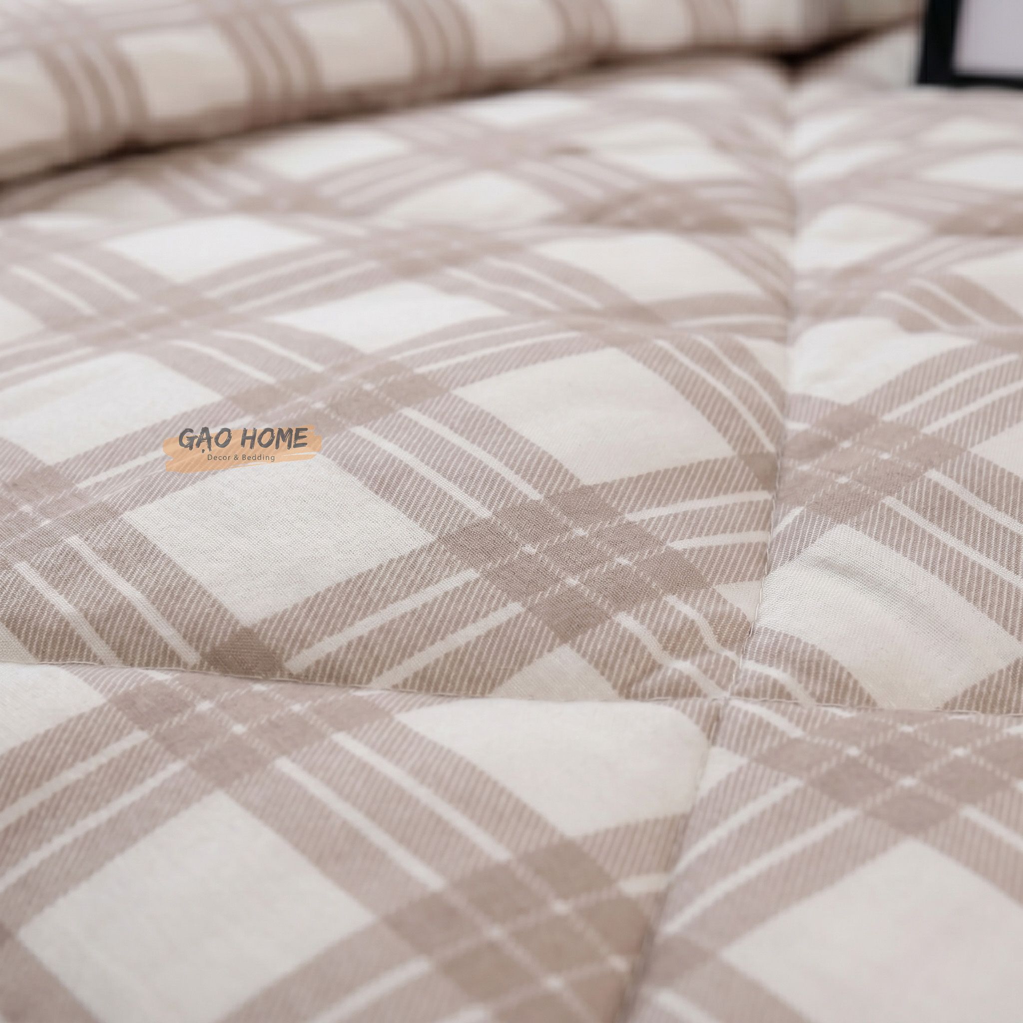  Cotton MỊN - BASIC CMB03 