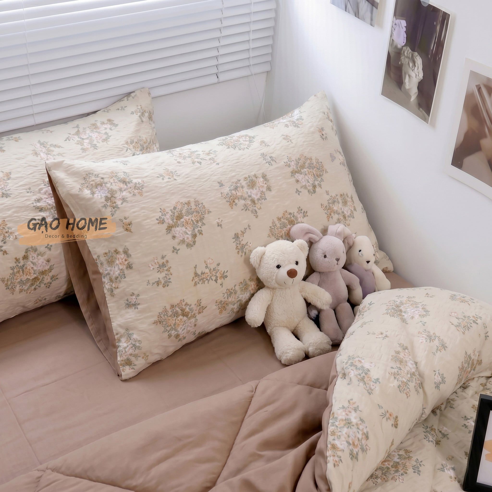  Cotton MỊN - BASIC CMB08 
