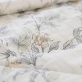  Cotton MỊN - BASIC CMB08 