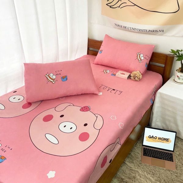  Cotton Korea KHÔNG CHĂN - CPKC264 