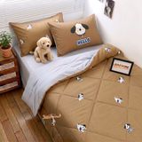  Cotton MỊN - BASIC CMB08 
