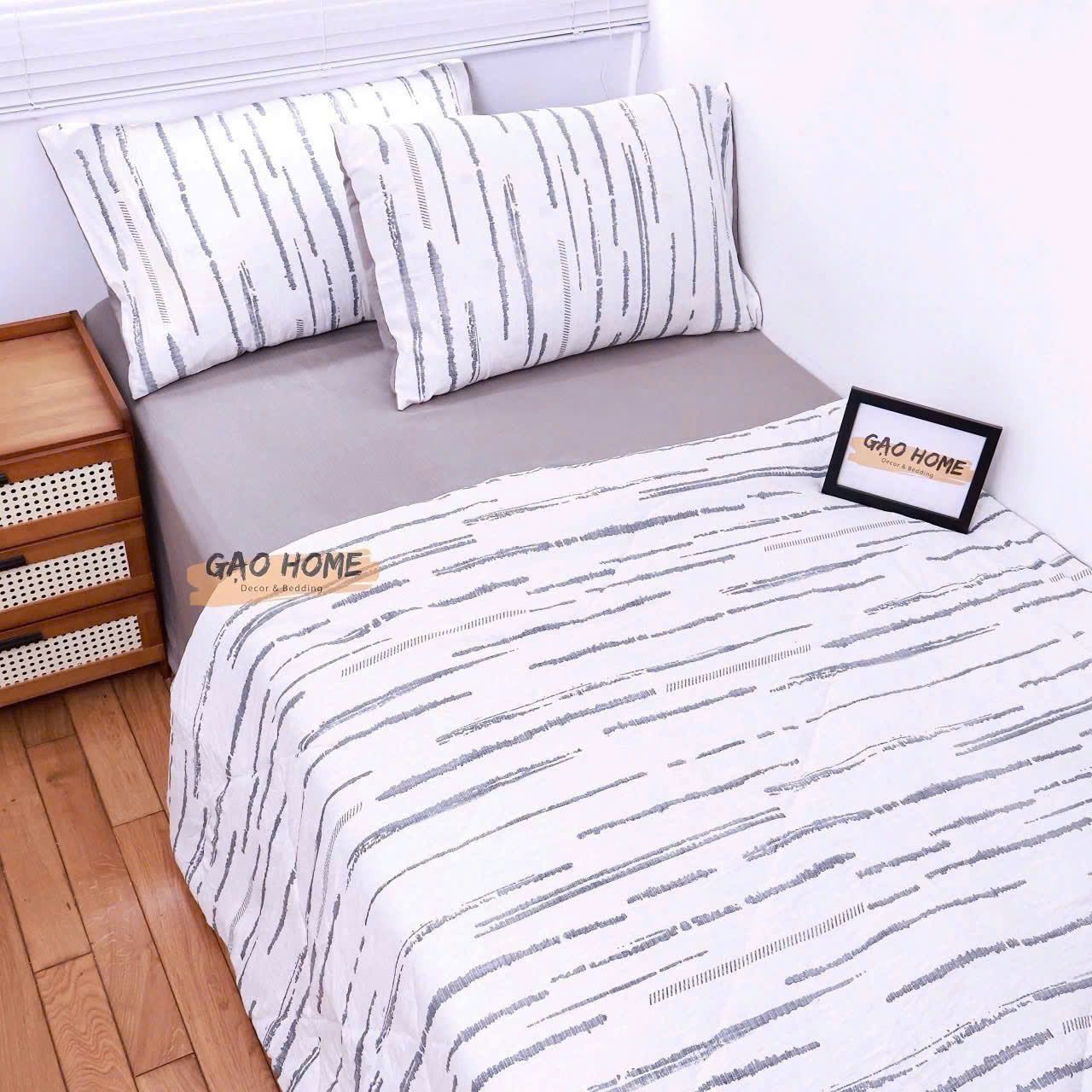  Cotton MỊN - BASIC CMB08 