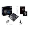 Mainboard ASUS PRIME B550M-A
