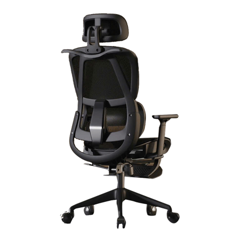Ghế Công Thái Học CTH919 Ergonomic ĐEN