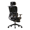Ghế Công Thái Học CTH919 Ergonomic ĐEN