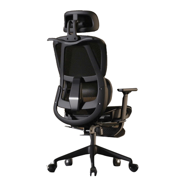 Ghế Công Thái Học CTH919 Ergonomic ĐEN