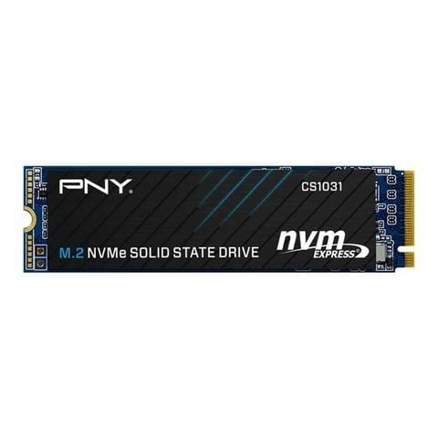 Ổ CỨNG SSD PNY CS1031 256GB M.2 PCIe Gen3x4 NVMe (Đọc 1700MB/s-Ghi 1100MB/s)