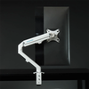 Giá treo màn hình HUMAN MOTION T6 (17-27 inch) Màu Trắng