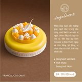 Tropical Coconut