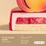 PLUM MIXED BERRY