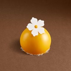 Tropical Coconut