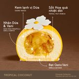 Tropical Coconut
