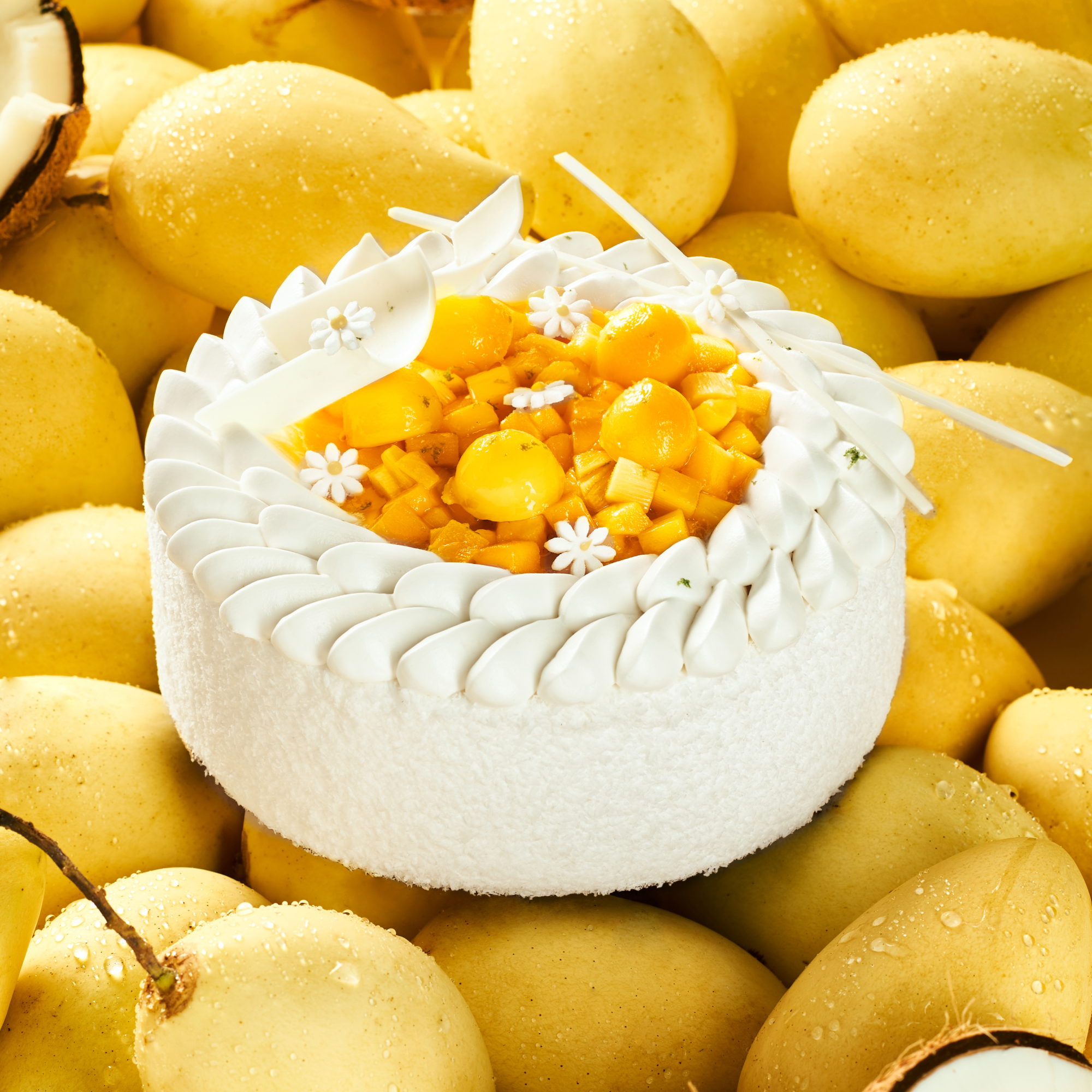 Mango Coconut