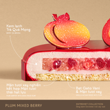 PLUM MIXED BERRY