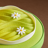 Soursop Avocado