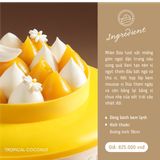 Tropical Coconut