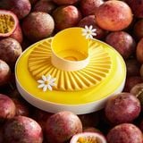 Passion  Fruit