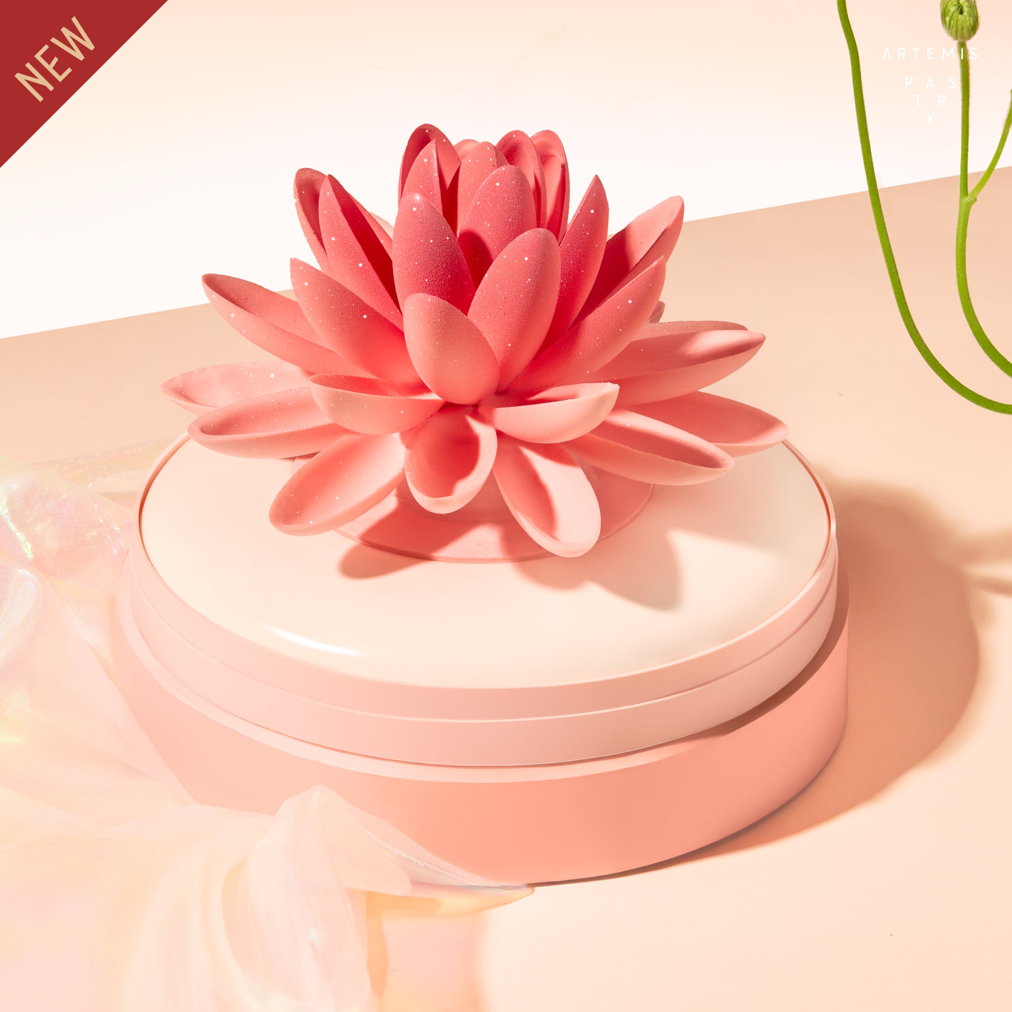 Water Lily