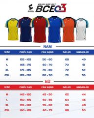 Bộ bóng chuyền BCE03 Nam