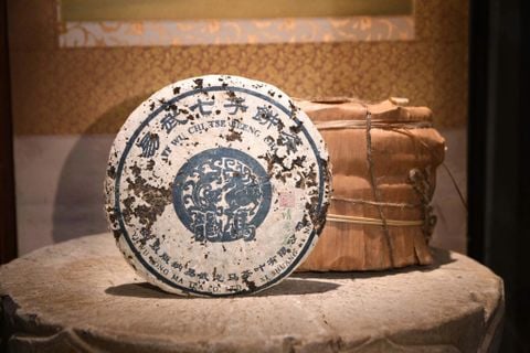 Trà Phổ Nhĩ Sống Song Mã 357 gram (Trà Cổ)