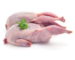 Chim Cút tươi (100gram)