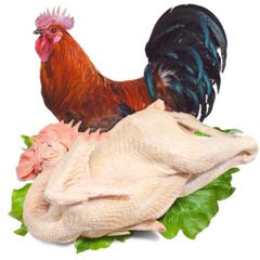 Gà ta vườn TRỐNG làm sạch/kg