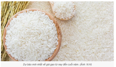 Gạo 404 ( Nở - Xốp )