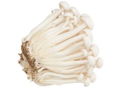 Nấm linh chi trắng Hàn Quốc hộp 150g