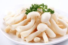 Nấm linh chi trắng (100gram)