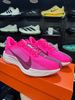 Giày Chạy Bộ Nike Pegasus Plus Hồng -  FQ7261 603