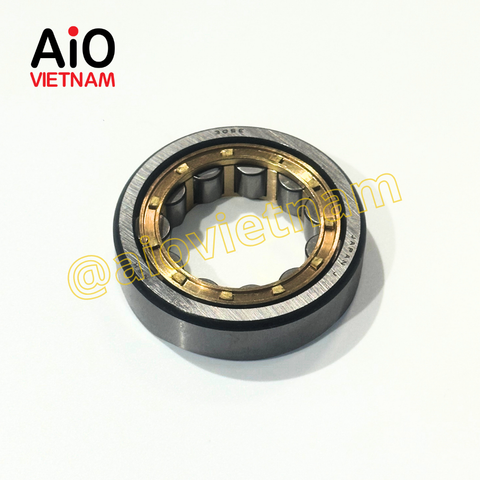  RGV4402460013K - Bạc đạn NJ305E 