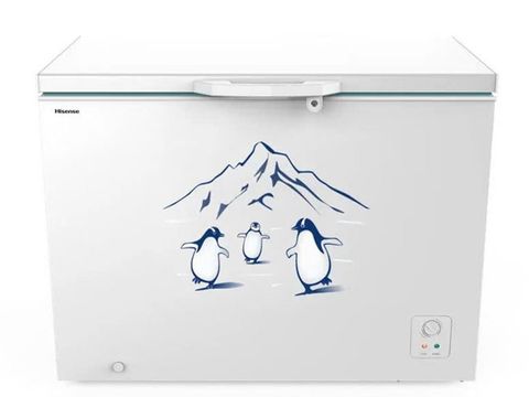 Tủ đông Hisense Inverter 300 lít FC380D4EWC1
