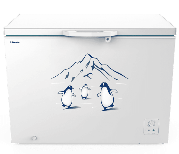 Tủ đông Hisense Inverter 300 lít FC380D4EWC1