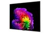 Tivi LG OLED AI 4K 97 Inch OLED97G6PSA (2026)