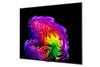Tivi LG OLED AI 4K 77 Inch OLED77G6PSA (2026)