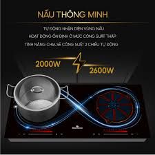 Bếp Từ Đôi BlueStone ICB-6920 3400W