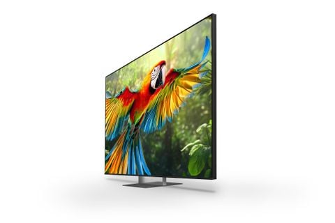 Sony Google TV True RGB BRAVIA 7 II 65 inch K-65XR70M2