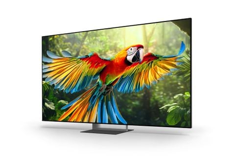 Sony Google TV True RGB BRAVIA 7 II 55 inch K-55XR70M2