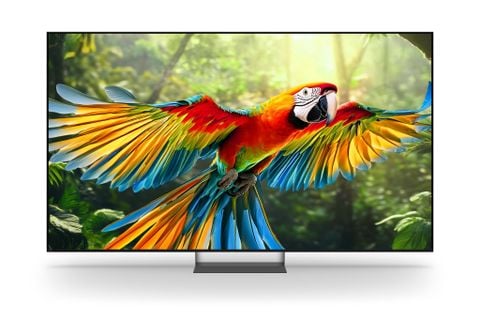 Sony Google TV True RGB BRAVIA 7 II 55 inch K-55XR70M2