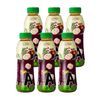 TeaA山竹茶  450ml