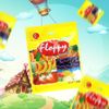 Floppy水果味软糖 200gr