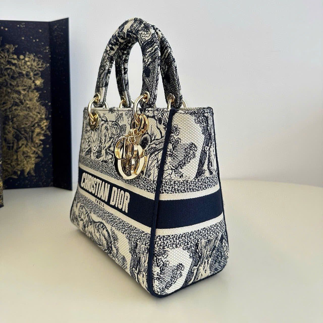 Túi Nữ Dior - TNTT78