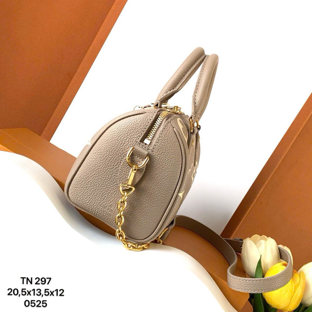 Túi Nữ Louis Vuitton - TNTT233