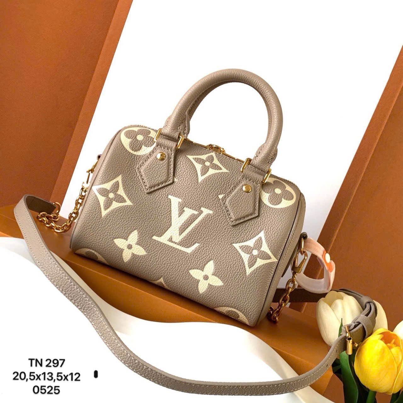 Túi Nữ Louis Vuitton - TNTT233